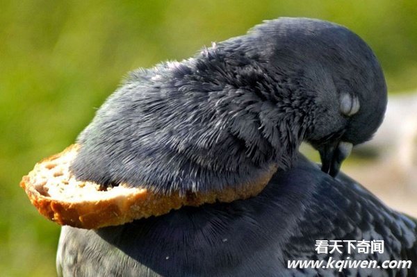 ʵ�Ķ�����Ȥ˲�䣬�ȷ���