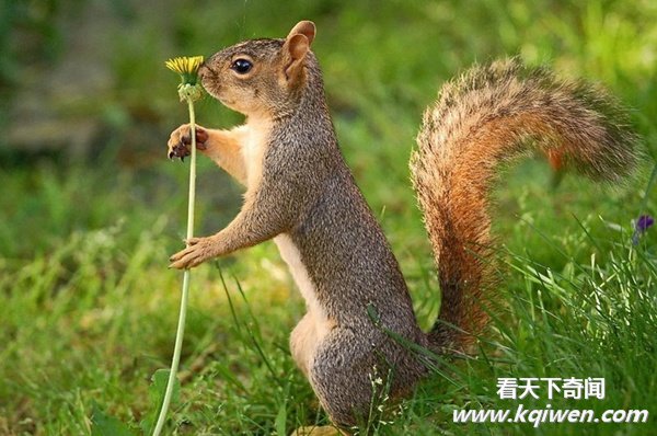 ʵ�Ķ�����Ȥ˲�䣬�ȷ���